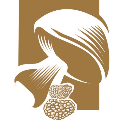 cropped-fungo-transp-1.png