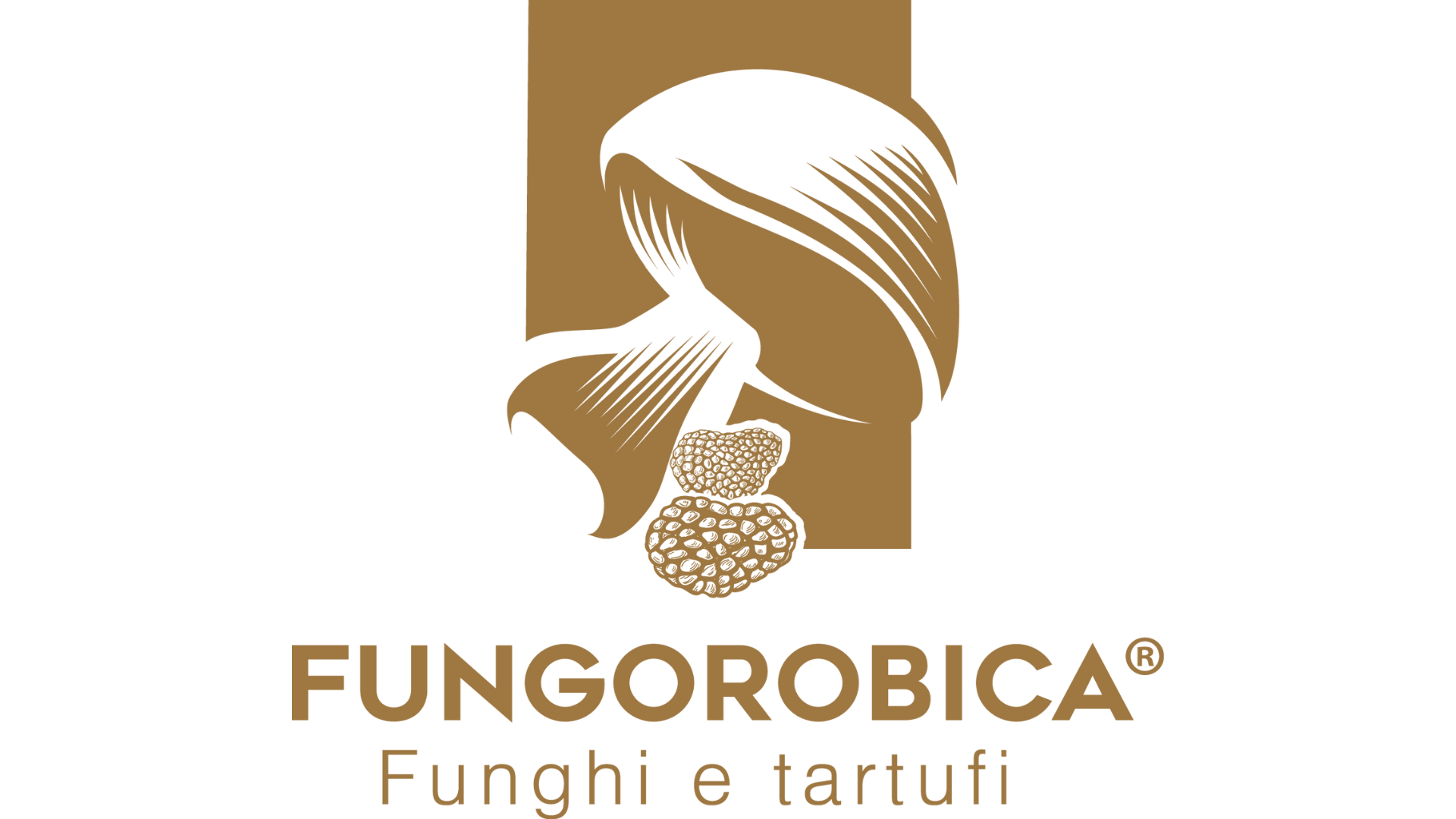 Фунгоробика – България
